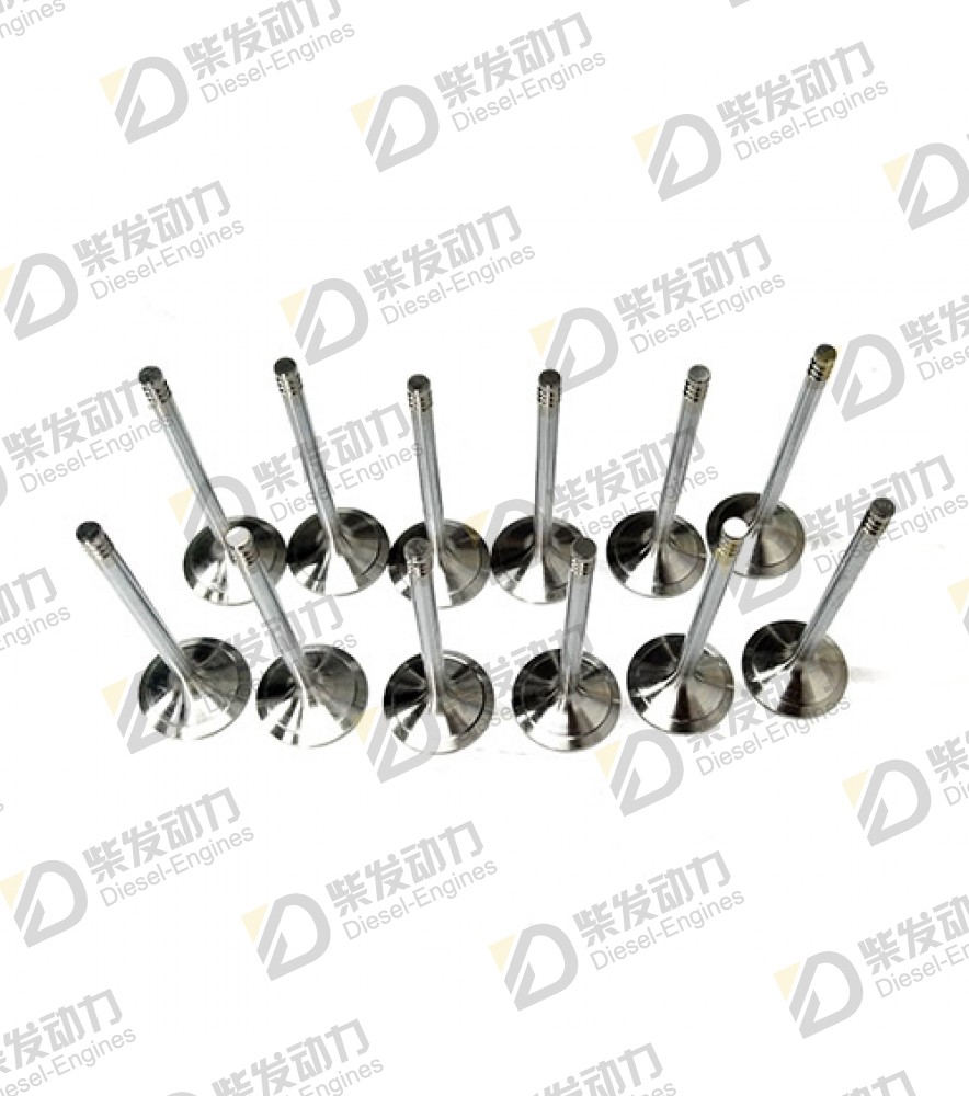 Inlet valve 20798699 